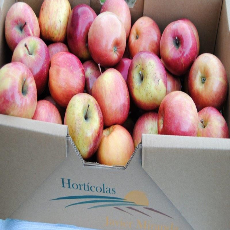 Manzanas Jonagored Terras de Miranda Manzanas Jonagored Terras de Miranda