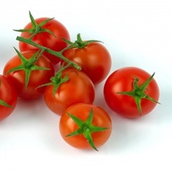 Tomates Cherry