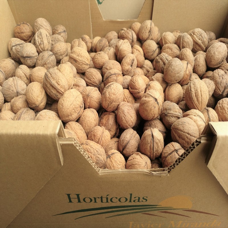 Nueces Terras de Miranda Nueces Terras de Miranda