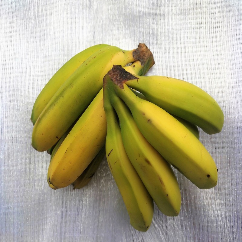 Platano Terras de Miranda Platano Terras de Miranda